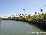 Bugang River, Pandan, Antique, Philippines 2010